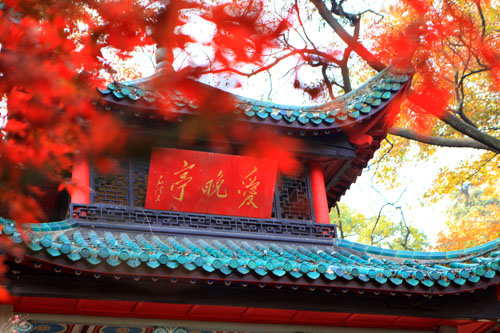 &#26032;&#21033;